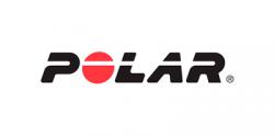 Polar Equine