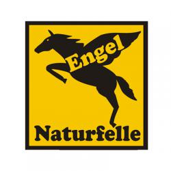 Engel