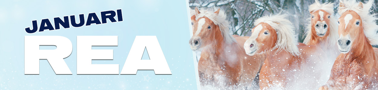 Stall och foder Stall och foder