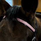 Star Tack Glamour Pannband