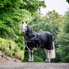 Horseware Amigo 1200D Plus 100 g utetäcke