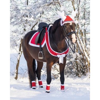 QHP julbrösta för häst