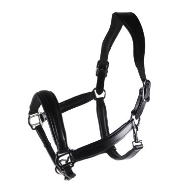 Equitare Elegant Black Lädergrimma