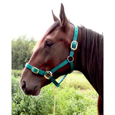 Equitare Pro Nylongrimma med öppningsbar nos