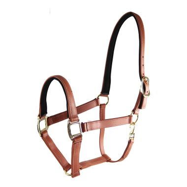 Star Tack Pro Biothane grimma 25 mm