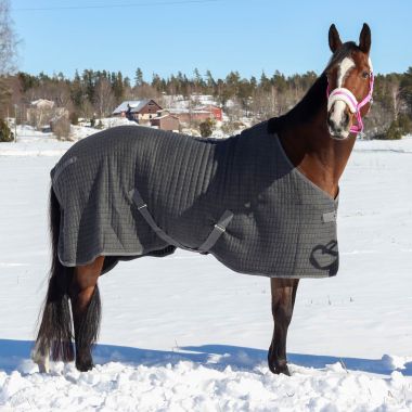 Best on Horse Thermo cooler