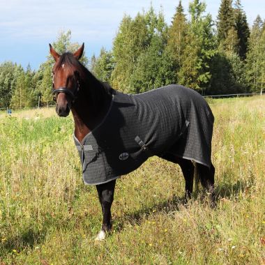 Best on Horse Thermo cooler