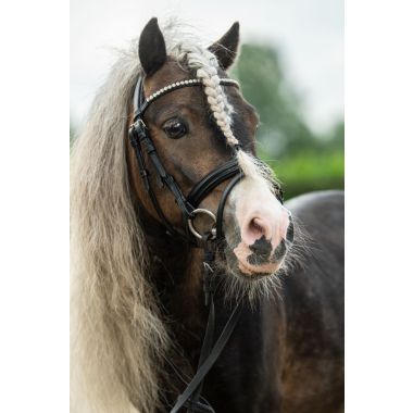 HKM Shetty Diamond träns