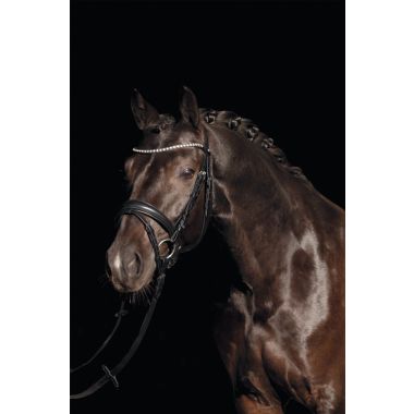 HKM Bella träns