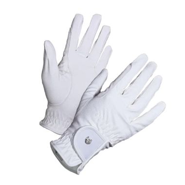 Equestrian Stockholm Motion ridhanskar