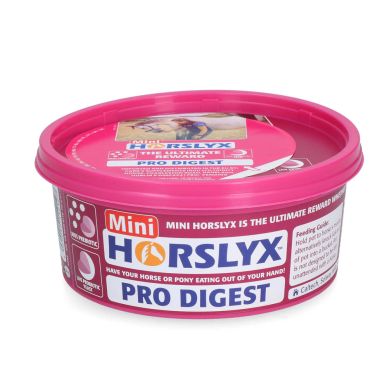 Horslyx Pro Digest slicksten 650 g