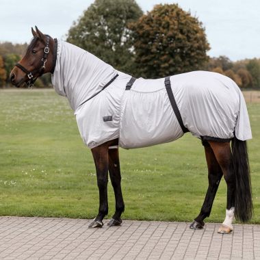 Waldhausen Basic eksemtäcken