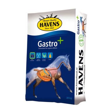 Havens Gastro+20 kg