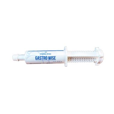 Gastro Wise tub 60 g