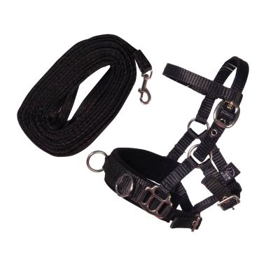 HKM Hobby Horsing Lunge set