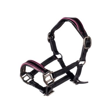 HKM Hobby Horsing Manchester grimma
