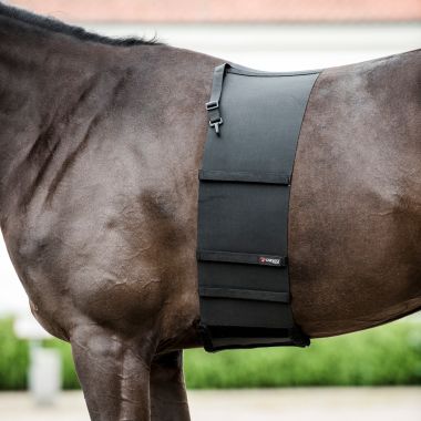 Catago Body Shield hästkroppsbandage