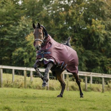 Horseware Amigo 1200D Plus 250 g utetäcke