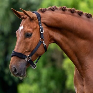 Equestrian Stockholm Anatomic Fleece Grimma