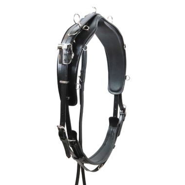 GP-Tack träningsele Extra brett QH läder