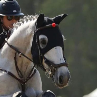 Fenwick Liquid Titanium huvudmask med öron och spännen